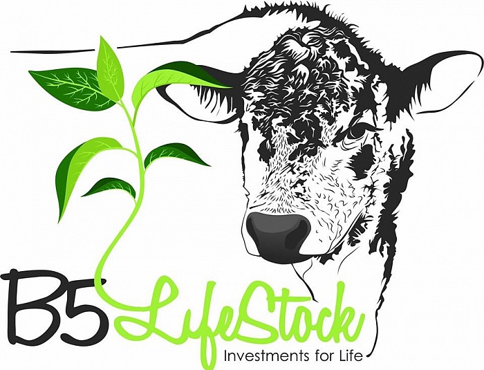 B5 Lifestock Logo