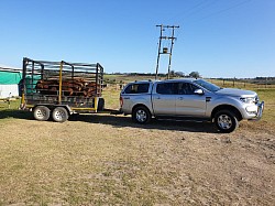 B5 Lifstock doen transport enige plek in Suid Afrika