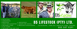 B5 Lifestock (PTY) LTD. Facebook banner